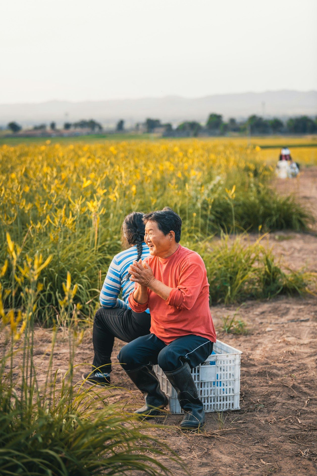 Resting in the field beside a harvest crate