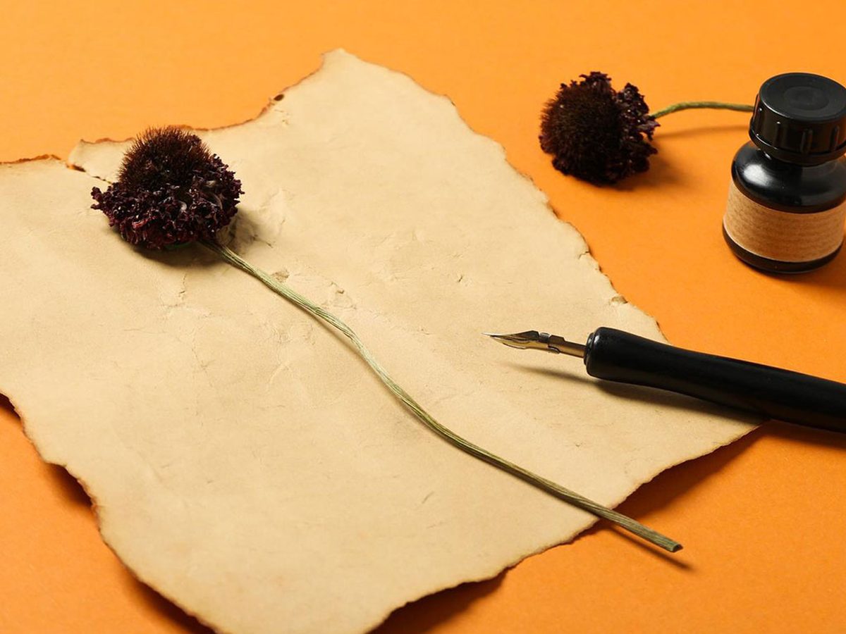 Paperback or hardcover? Choosing the right binding